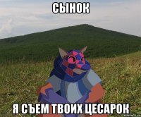 сынок я съем твоих цесарок