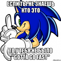 если ты не знаешь кто это то у тебя не было "gotta go fast"