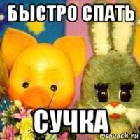 быстро спать сучка