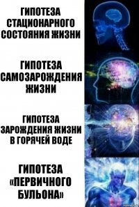 Гипотеза стационарного состояния жизни Гипотеза самозарождения жизни Гипотеза зарождения жизни в горячей воде Гипотеза «первичного бульона»