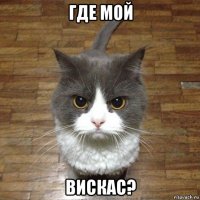 где мой вискас?