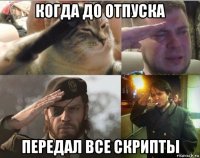когда до отпуска передал все скрипты
