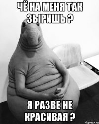 чё на меня так зыришь ? я разве не красивая ?