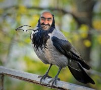Создать мем Ashot Raven