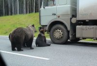 Создать мем Это россия детка
