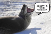 Создать мем Japn reanuda la captura comercial de ballenas