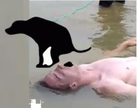 Создать мем Краска