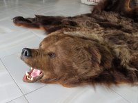 Создать мем Мишка