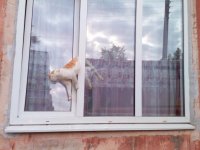Создать мем Н