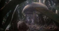 Создать мем Некошенная трава