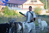 Создать мем Пастух овца