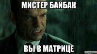 мистер байбак вы в матрице