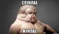 спунлае мунлае