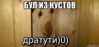 бул из кустов 