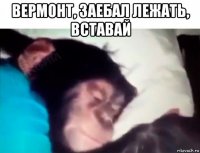вермонт, заебал лежать, вставай 