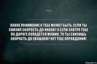 Какое понимание к тебе может быть, если ты снизил скорость до ИХНЕЙ? А если завтра тебе по дороге попадётся мужик, то ты снизишь скорость до ЕВОШНЕЙ? Нет тебе оправданий!