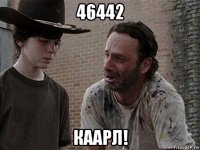 46442 каарл!