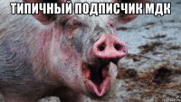 типичный подписчик мдк 