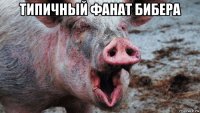 типичный фанат бибера 