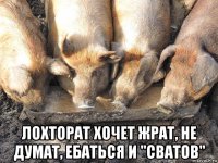  лохторат хочет жрат, не думат, ебаться и "сватов"