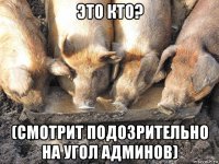 это кто? (смотрит подозрительно на угол админов)