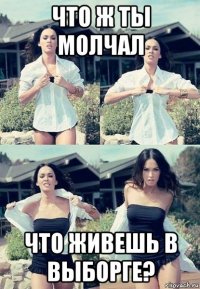 что ж ты молчал что живешь в выборге?