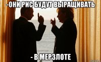 -они рис будут выращивать - в мерзлоте