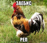 заебис реп