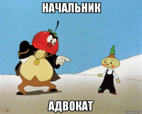 начальник адвокат