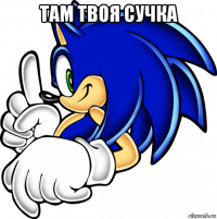 там твоя сучка 