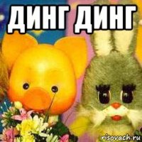 динг динг 