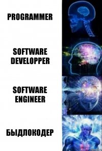 PROGRAMMER SOFTWARE DEVELOPPER SOFTWARE ENGINEER БЫДЛОКОДЕР