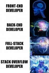 Front-end developer Back-end developer Full-stack developer Stack overflow developer