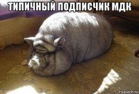типичный подписчик мдк 