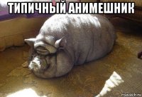 типичный анимешник 