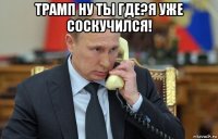 трамп ну ты где?я уже соскучился! 