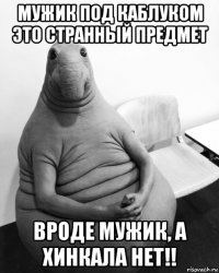 мужик под каблуком это странный предмет вроде мужик, а хинкала нет!!