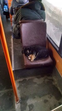 Создать мем 789