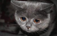 Создать мем Хуйня все