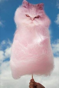 Создать мем Кот