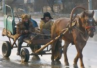 Создать мем На лошади