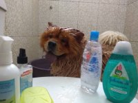 Создать мем Пора принимать ванну
