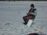 Создать мем РЫБКИ