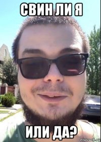 свин ли я или да?