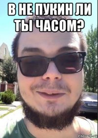 в не пукин ли ты часом? 