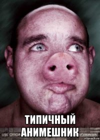  типичный анимешник
