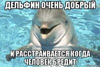 дельфин очень добрый и расстраивается когда человек бредит