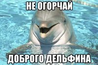 не огорчай доброго дельфина