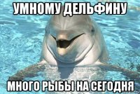 умному дельфину много рыбы на сегодня