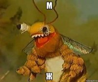 м ж